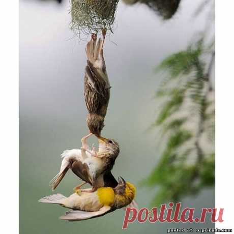 Мой Мир@Mail.Ru