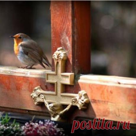 НУЖНО ЛИ ПОЧИТАТЬ ПАМЯТЬ УШЕДШИХ ПРЕДКОВ ПОСЕЩЕНИЕМ ИХ МОГИЛ.?