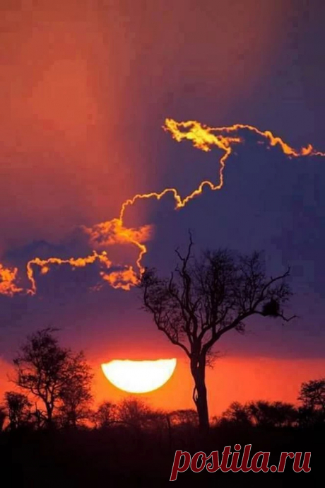 kruger+national+park Africa