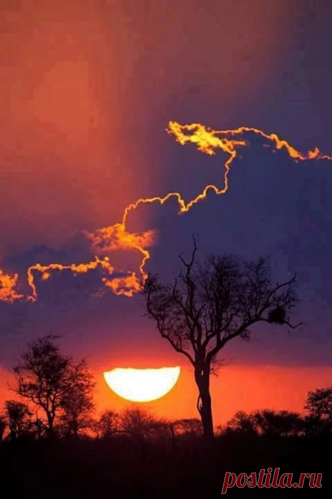 kruger+national+park Africa