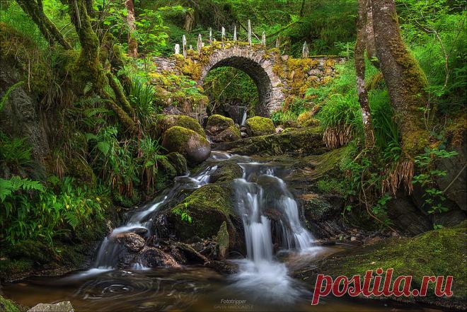 The Fey Realm - Scotland | Like something out of 'The Hobbit… | Flickr