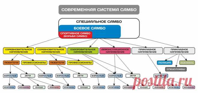 БОЕВОЕ САМБО – это универсальный вид единоборства, созданный в России, в основе которого лежит комбинационное и комплексное применение наиболее эффективных приемов различных техник, доведенное до автоматизма, с целью скорейшего достижения победы в поединке.


Боевое САМБО – САМозащита Без Оружия. Все навыки и знания, полученные в процессе обучения боевому самбо, предназначены исключительно для защиты себя и своих близких.