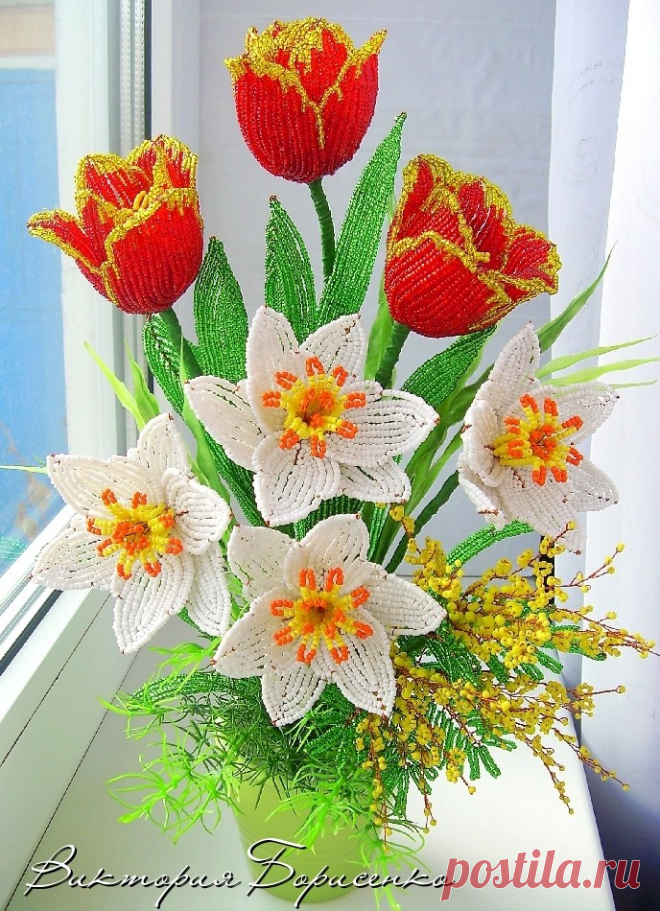(54) Одноклассники