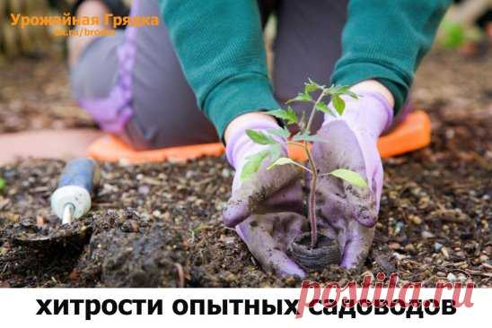Одноклассники