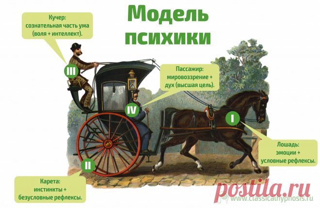 Модель психики. Базовые инстинкты. Профессор Табидзе А. А. – Геннадий Иванов – Блог – Сноб