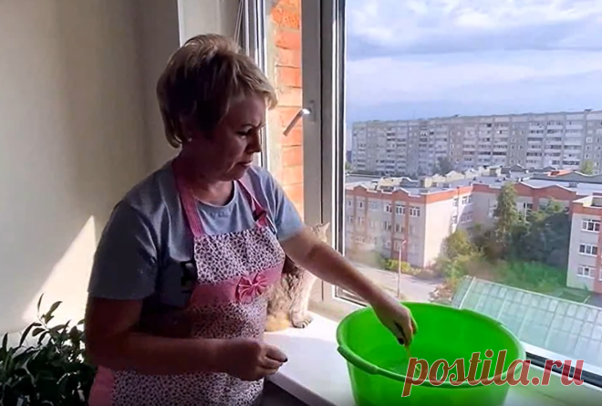 Каждую весну мою окна методом без нашатыря. Ни грязи, ни пыли, а стекла не запотевают целый год. Делюсь методом тёти | Своими руками | Яндекс Дзен