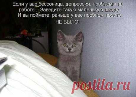 Улыбайтесь!