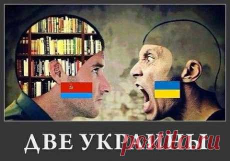 Донецк и Луганск хотят навсегда покинуть Украину | Под прицелом