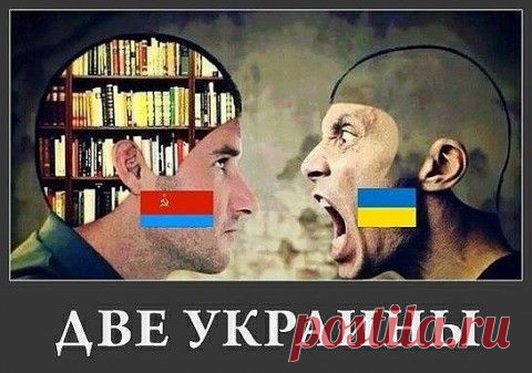 Донецк и Луганск хотят навсегда покинуть Украину | Под прицелом