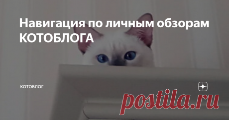 Навигация по личным обзорам КОТОБЛОГА Подборка ссылок на личные обзоры кошачьей тематики: корм, лакомства, наполнитель, игрушки, уничтожители запаха, когтерезы и многое другое.