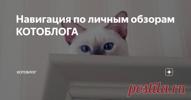 Навигация по личным обзорам КОТОБЛОГА Подборка ссылок на личные обзоры кошачьей тематики: корм, лакомства, наполнитель, игрушки, уничтожители запаха, когтерезы и многое другое.
