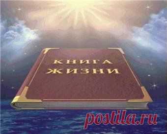 Дневник piskla
