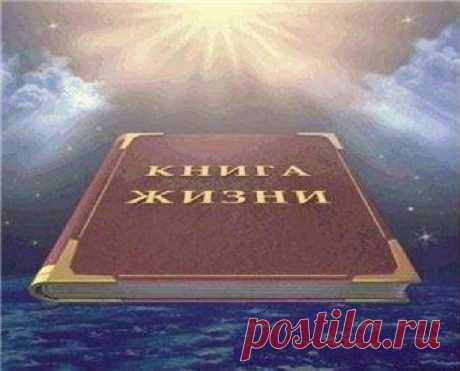 Дневник piskla