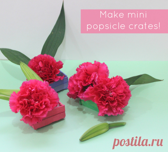 DIY Mini Crates made out of Popsicles DIY Mini Crates made out of Popsicles
How cute are these? They're super cheap to make and don't take a lot of time either. Bonus, you can use these mini crates in so many cute and rustic ways: use...