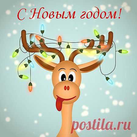 Все, отгремела новогодняя ночь.

Именно так - отгремела! Гремело так, что через

пять минут хотелось заткнуть уши.

 Грохот салютов, отбивание кастрюльными