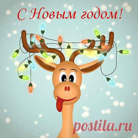 Все, отгремела новогодняя ночь.
Именно так - отгремела! Гремело так, что через
пять минут хотелось заткнуть уши.
Грохот салютов, отбивание кастрюльными