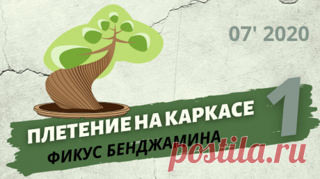 Плетение фикуса Бенджамина на каркасе. Часть 1  — Смотреть в Эфире Плетение закрученного ствола фикуса Бенджамина на каркасе из проволоки.
Содержание:
00:00 Суть идеи, Эскиз будущего фикуса Бенджамина с плетеным ство…