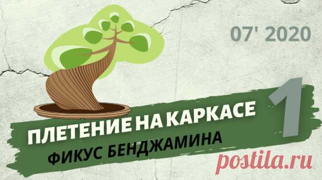 Плетение фикуса Бенджамина на каркасе. Часть 1  — Смотреть в Эфире Плетение закрученного ствола фикуса Бенджамина на каркасе из проволоки.
Содержание:
00:00 Суть идеи, Эскиз будущего фикуса Бенджамина с плетеным ство…