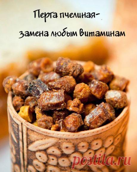 Чем заменить витамины? Чем полезна перга