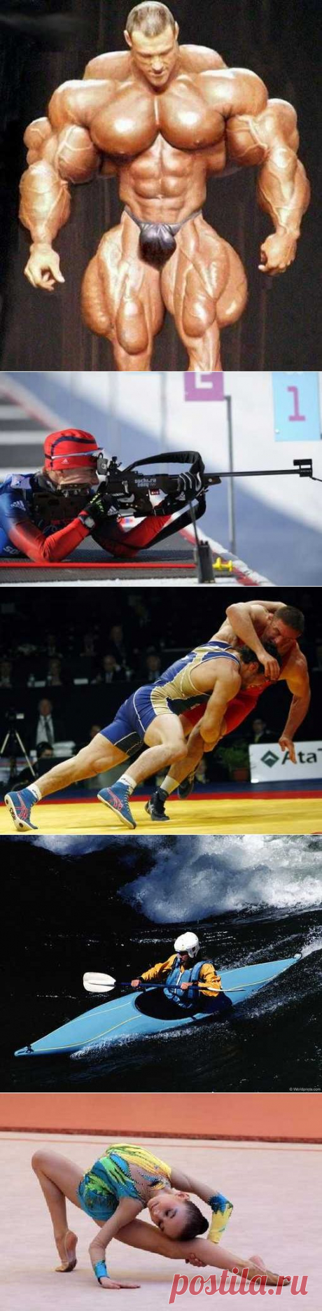 Пейнтбол, Биатлон, Настольный футбол, Парусный спорт, Танцевальный спорт. (1/1) - Спортивный форум. - Спортивный сайт