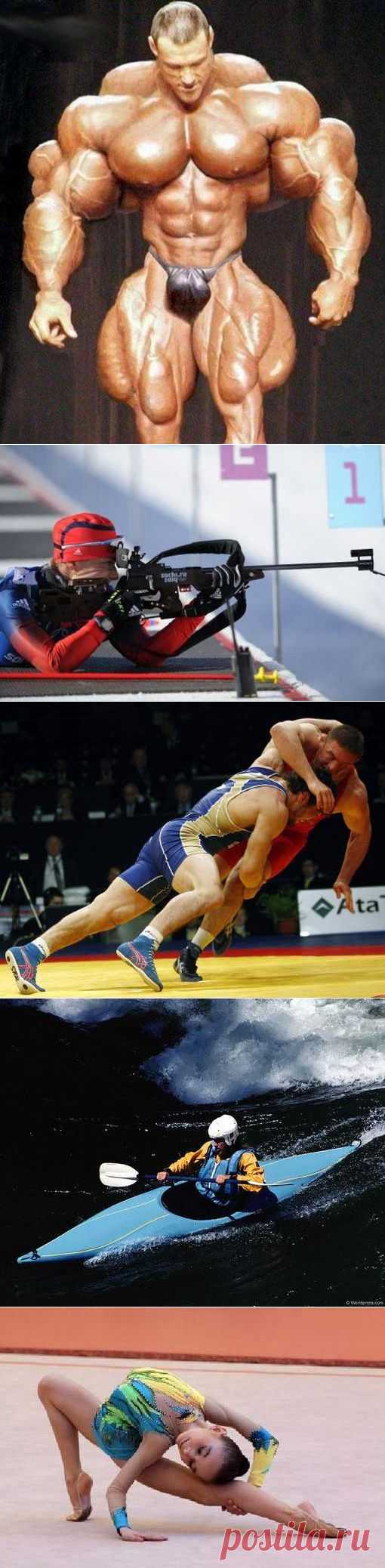 Пейнтбол, Биатлон, Настольный футбол, Парусный спорт, Танцевальный спорт. (1/1) - Спортивный форум. - Спортивный сайт