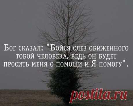 Бог сказал: «Бойся слез обиженного тобой человека, ведь он будет просить меня о помощи и я помогу» | Мир позитивных новостей