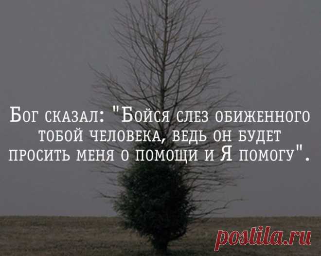 Бог сказал: «Бойся слез обиженного тобой человека, ведь он будет просить меня о помощи и я помогу» | Мир позитивных новостей