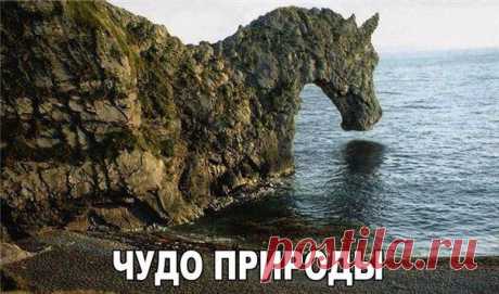 Интересные новости