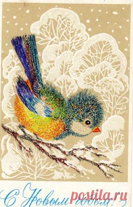(5) Pinterest