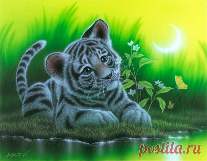 Восхитительные картины японского художника Kentaro Nishino