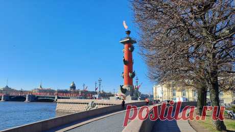 Как Петербург отметит День города - Мойка78.ру﻿ Новости СПб