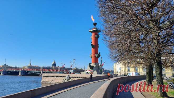 Как Петербург отметит День города - Мойка78.ру﻿ Новости СПб