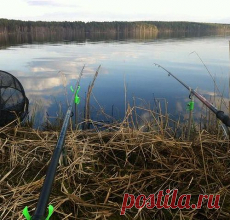 Ароматные добавки или ароматизаторы которые улучшают клев