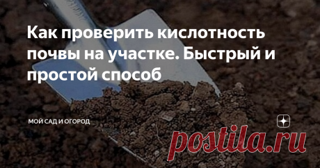 Как проверить кислотность почвы на участке. Быстрый и простой способ Всем известно, что именно нейтральная, по своему составу, почва благотворно влияет на рост и развитие большинства огородных растений. Но, в силу огромного количества причин, земля на участке со временем может закисляться, что, в свою очередь, обязательно отразится и на качестве выращиваемых Вами растений. Дабы точно быть уверенным в пригодности почвы для огородного дела, рекомендую время от времен