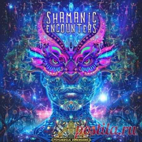VA – Shamanic Encounters [Psychedelic Dimensions]