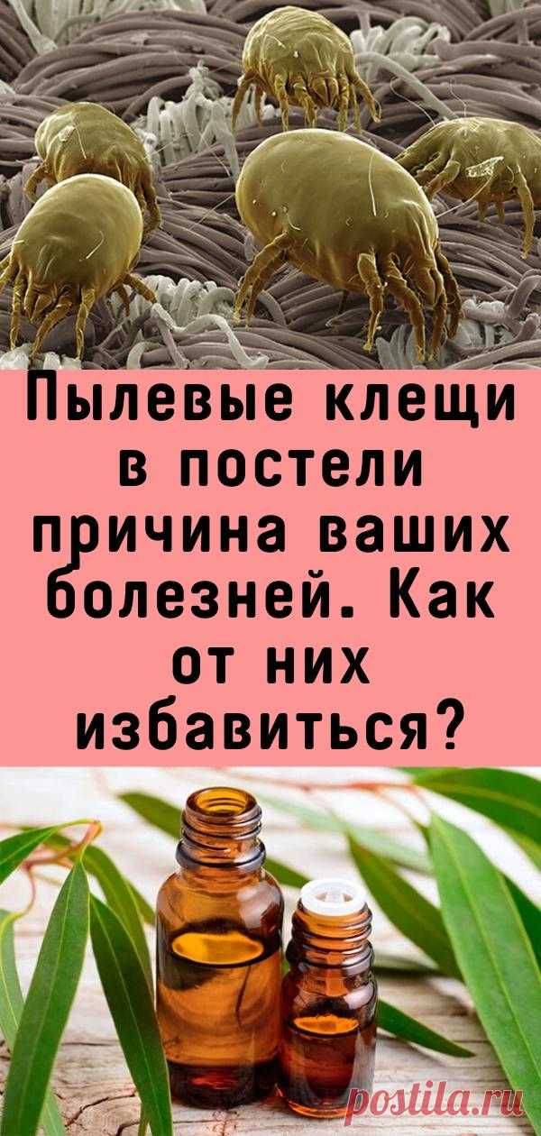 Пылевые клещи в постели причина ваших болезней. Как от них избавиться?