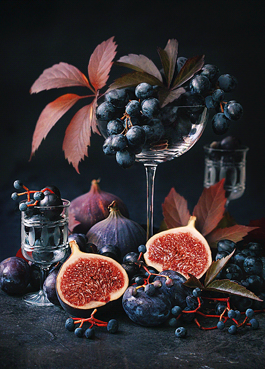 (264) Pinterest