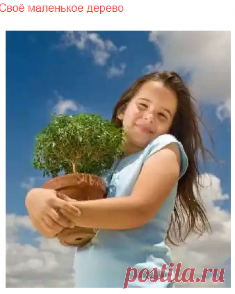 Бонсай - Все о Бонсай