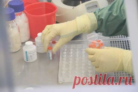 20-6-23-В Братске нашли САЛЬМОНЕЛЛУ в кафе, посетители которого отравились шаурмой Возбудитель КИШЕЧНОЙ ИНФЕКЦИИ выявлен в пробах продуктов и биоматериале персонала заведения.