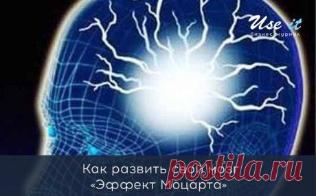 Как развить свой мозг / Основы бизнеса