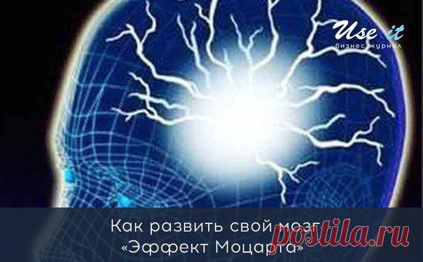 Как развить свой мозг / Основы бизнеса
