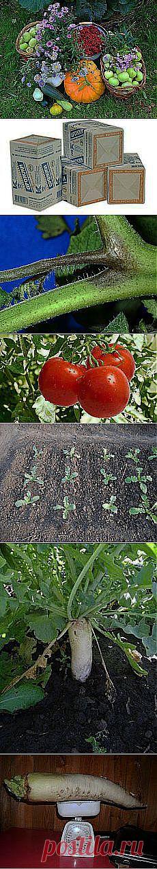 Вяжем "Тысячелистник" - Ярмарка Мастеров -... и другие материалы. Новое в Вашей подборке на Постила.ru - hyanhe@mail.ru - Почта Mail.Ru