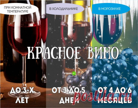 Реальный срок годности продуктов