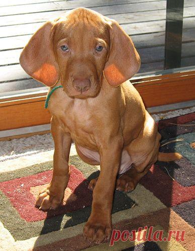 Найдено на сайте flickr.com.