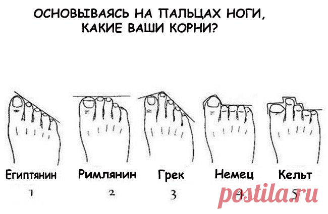 По расположению пальцев ног определяем национальность