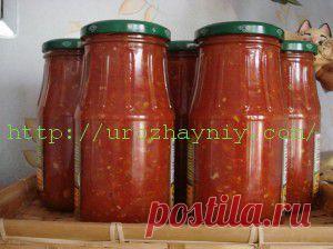 Аджика с яблоками на зиму | Урожайная дача