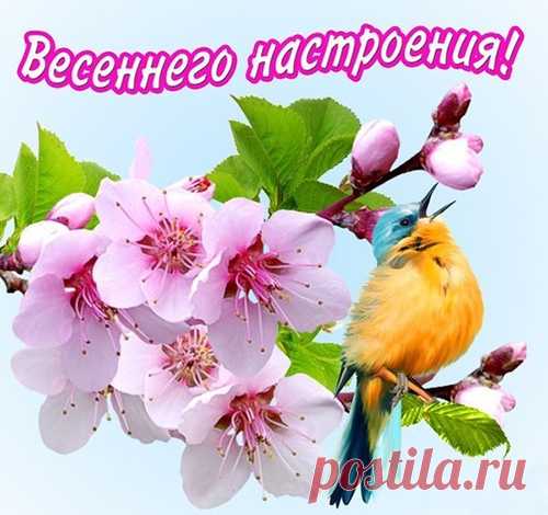 Рамочка цветочная для текста