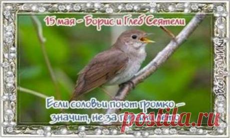 Праздники и приметы на 15 мая 2018 года Борис и Глеб Сеятели. Народный праздник «Борис и Глеб Сеятели» отмечается 15 мая (по старому стилю – 2 мая). В православном церковном календаре этот день посвящается перенесению святых мощей братьев-великомучеников князей Бориса и Глеба.
