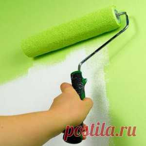 Как подготовить гипсокартон к покраске