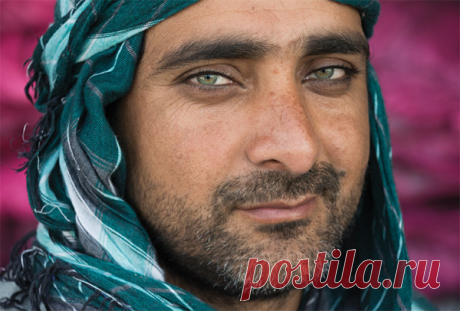 Как использовать цвет в фотографии? 9 идей для крутых кадров | Блог издательства «Манн, Иванов и Фербер»